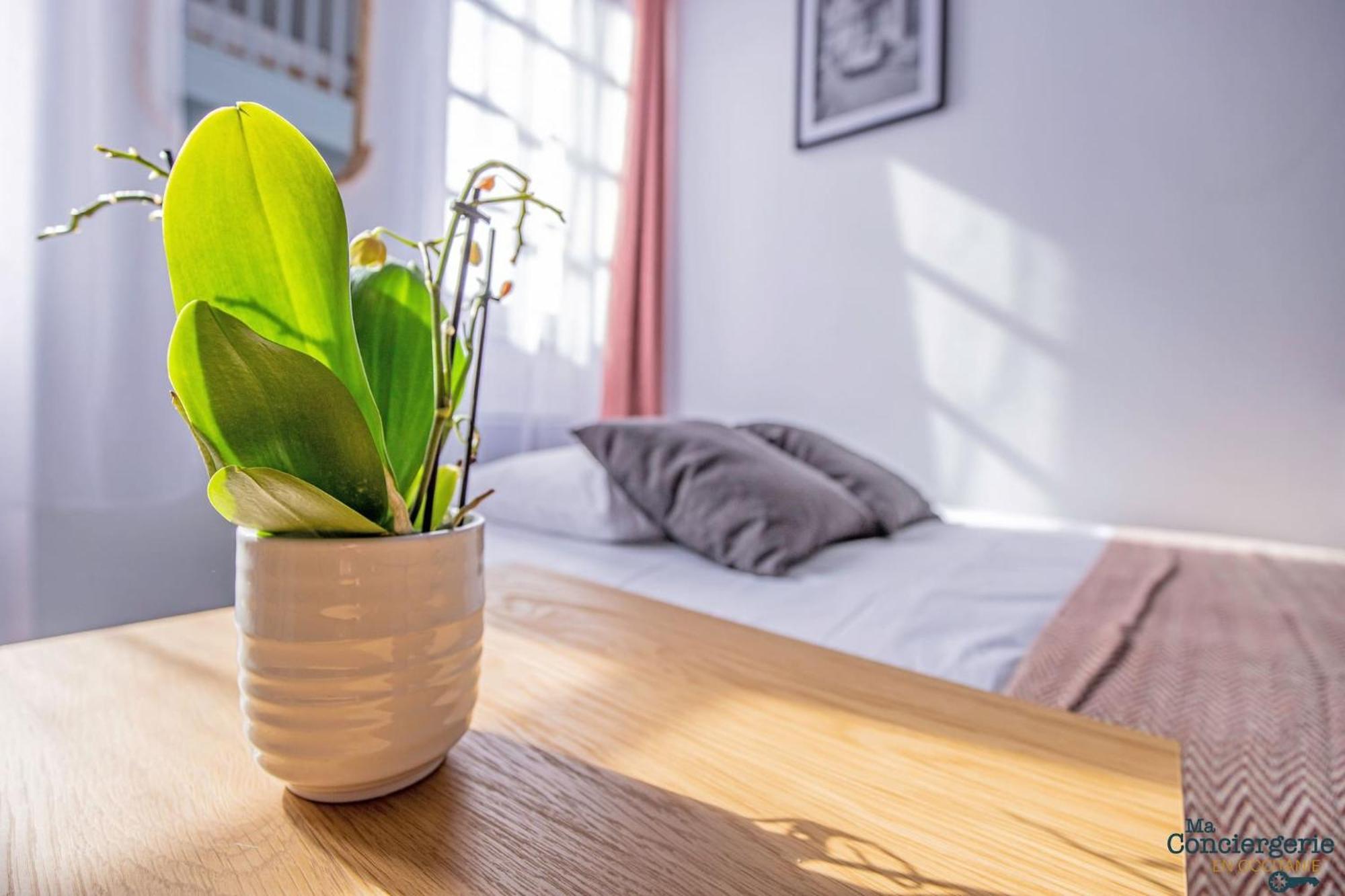 Duplex Champetre : Gare, Marche, Hypercentre Apartment Toulouse Luaran gambar