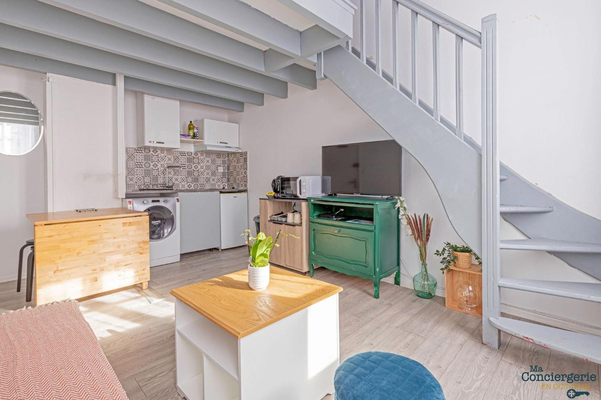 Duplex Champetre : Gare, Marche, Hypercentre Apartment Toulouse Luaran gambar