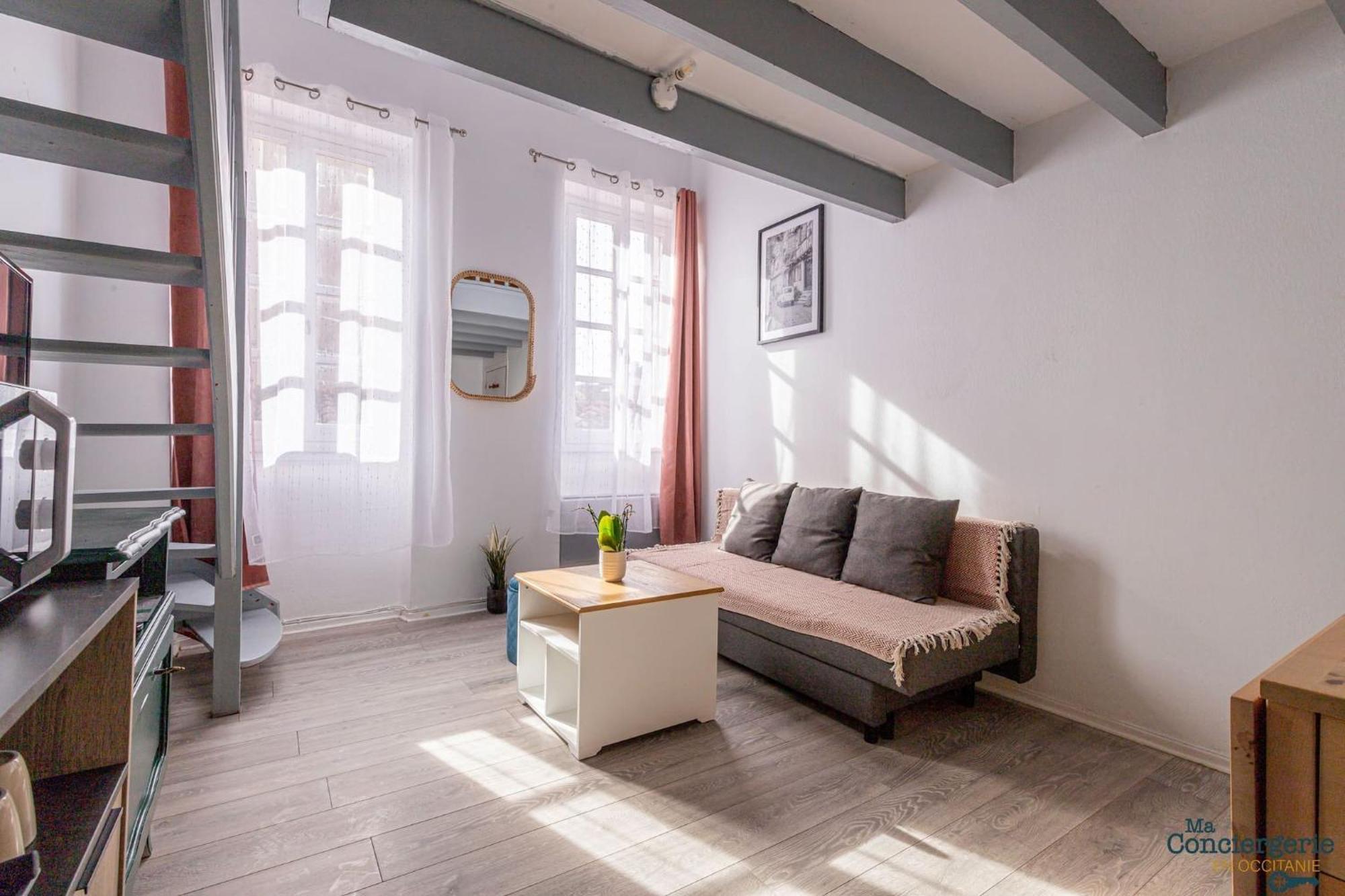 Duplex Champetre : Gare, Marche, Hypercentre Apartment Toulouse Luaran gambar