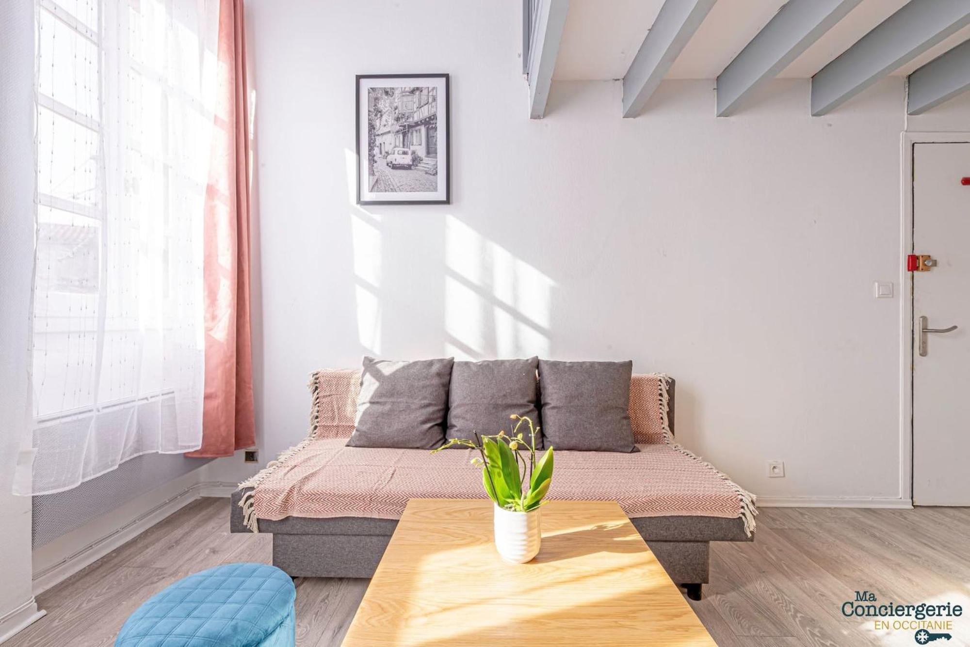 Duplex Champetre : Gare, Marche, Hypercentre Apartment Toulouse Luaran gambar