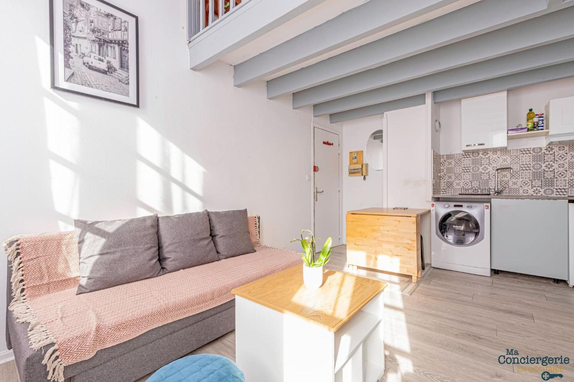 Duplex Champetre : Gare, Marche, Hypercentre Apartment Toulouse Luaran gambar