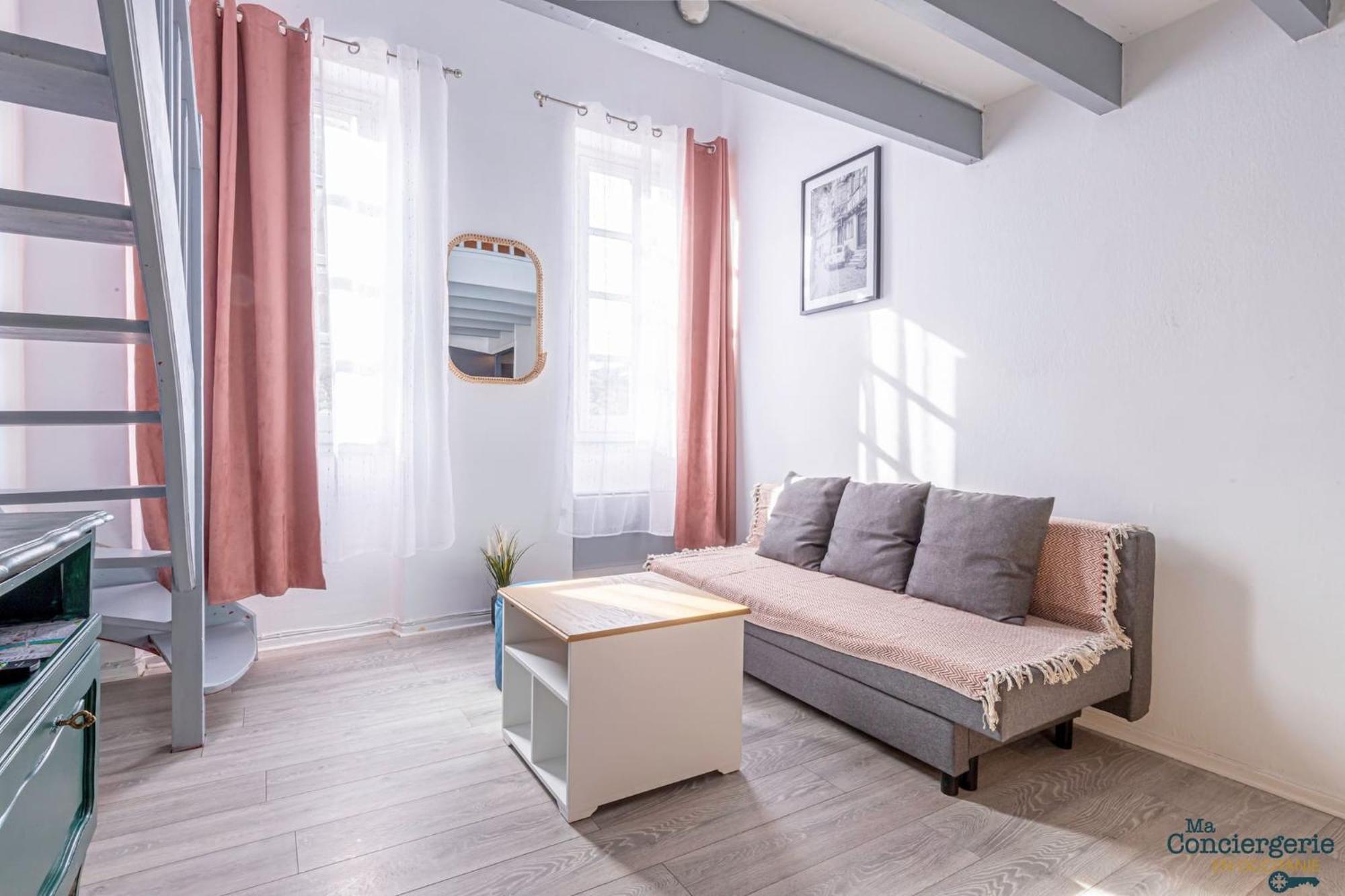 Duplex Champetre : Gare, Marche, Hypercentre Apartment Toulouse Luaran gambar
