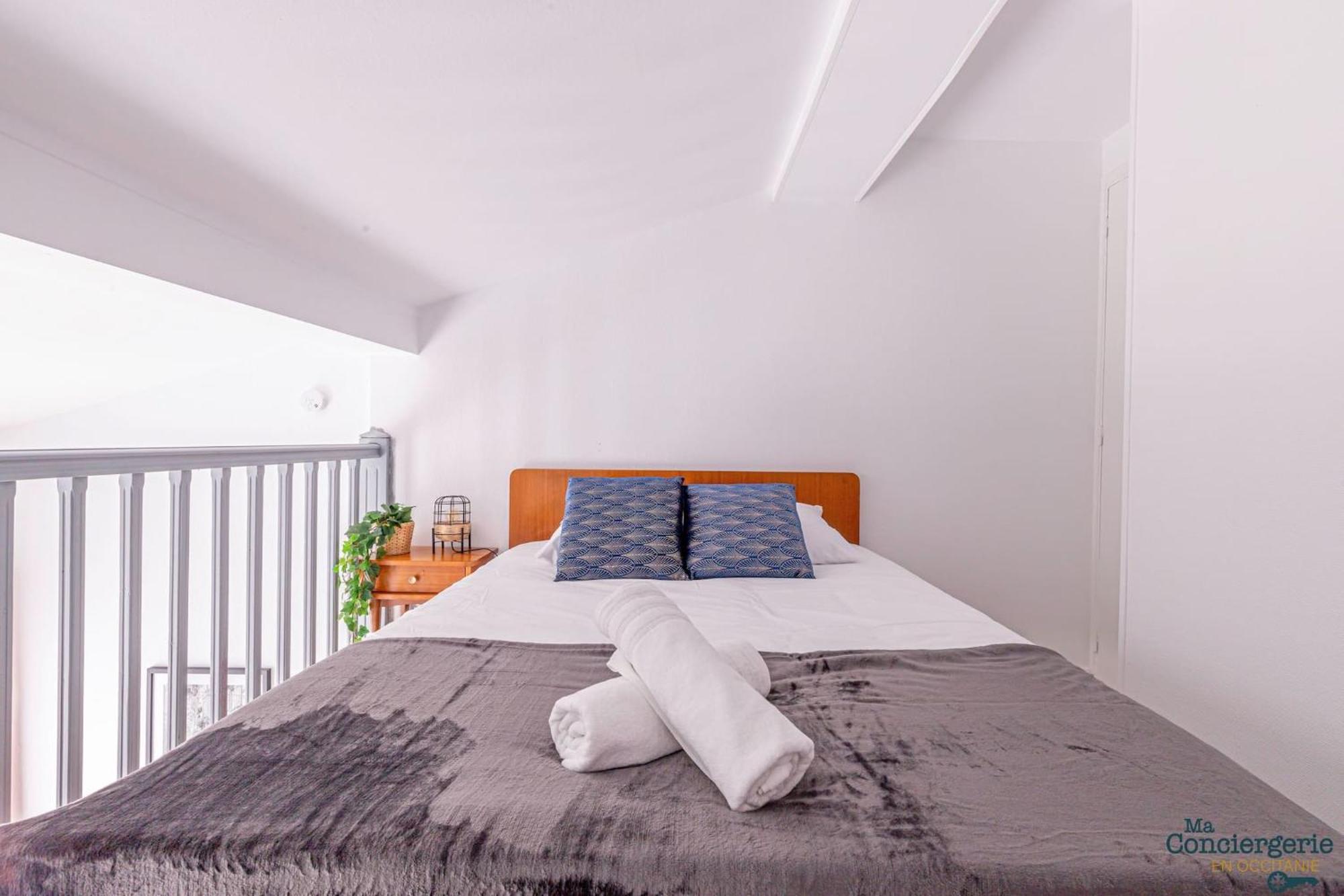 Duplex Champetre : Gare, Marche, Hypercentre Apartment Toulouse Luaran gambar