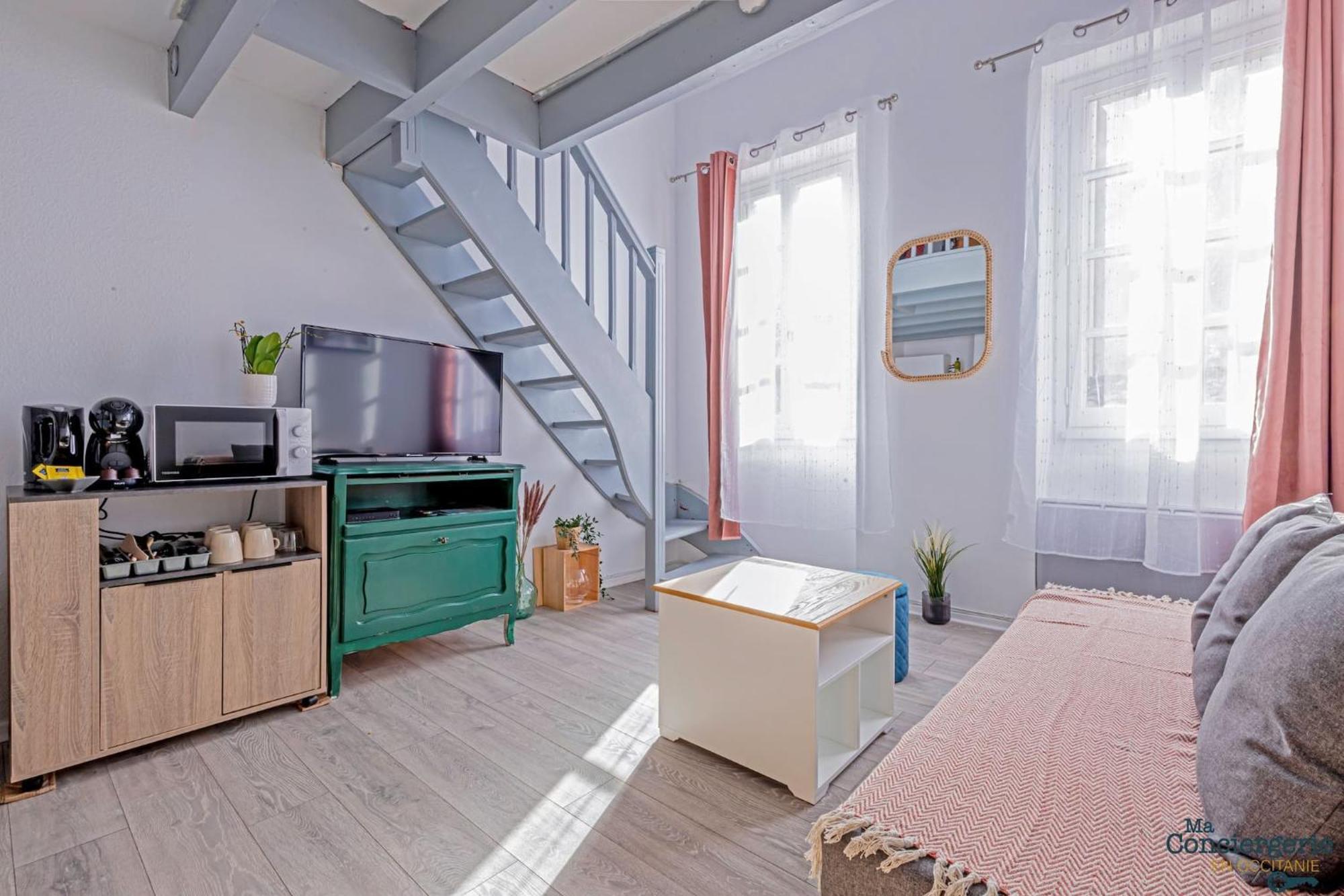 Duplex Champetre : Gare, Marche, Hypercentre Apartment Toulouse Luaran gambar